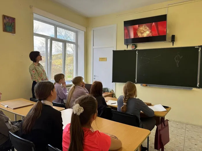 просмотр ролика